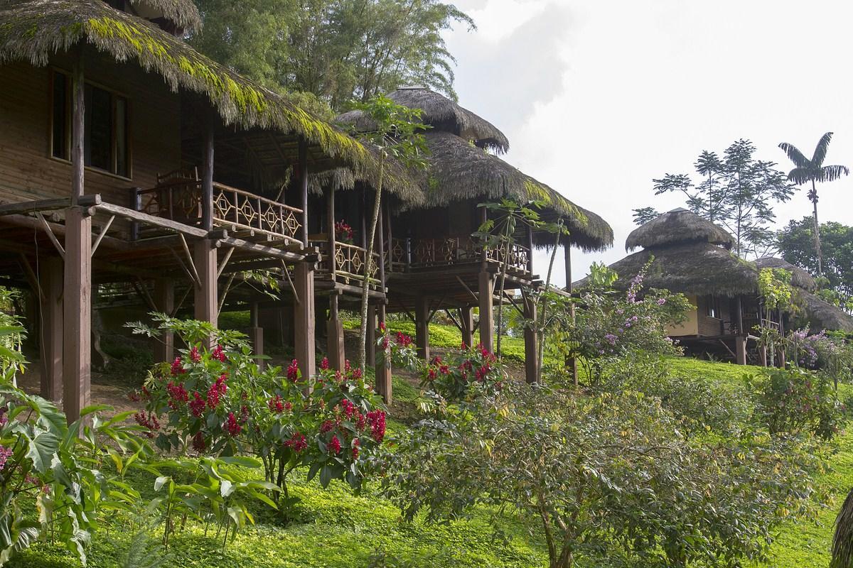 Arasha Resort & Spa Pedro Vicente Maldonado Eksteriør bilde